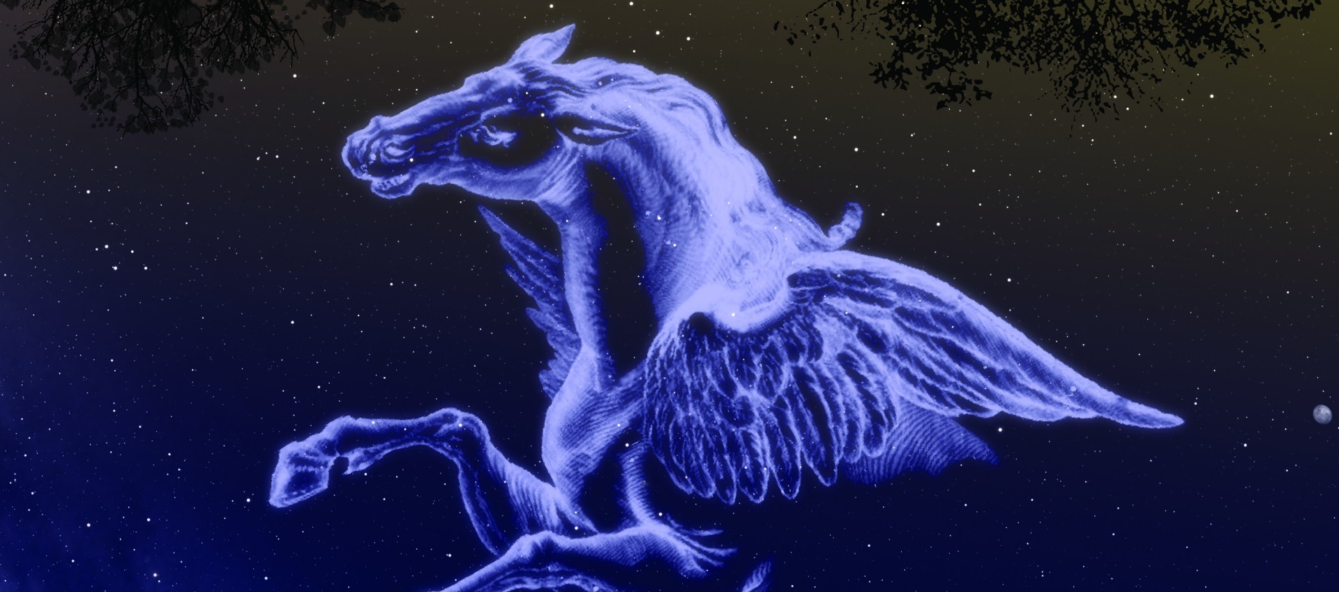Autumn Sky Constellations - a drawing of Pegasus
